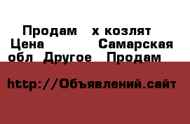 Продам 2-х козлят › Цена ­ 1 000 - Самарская обл. Другое » Продам   